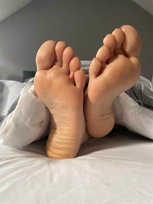 Where’s my morning coffee and foot rub?