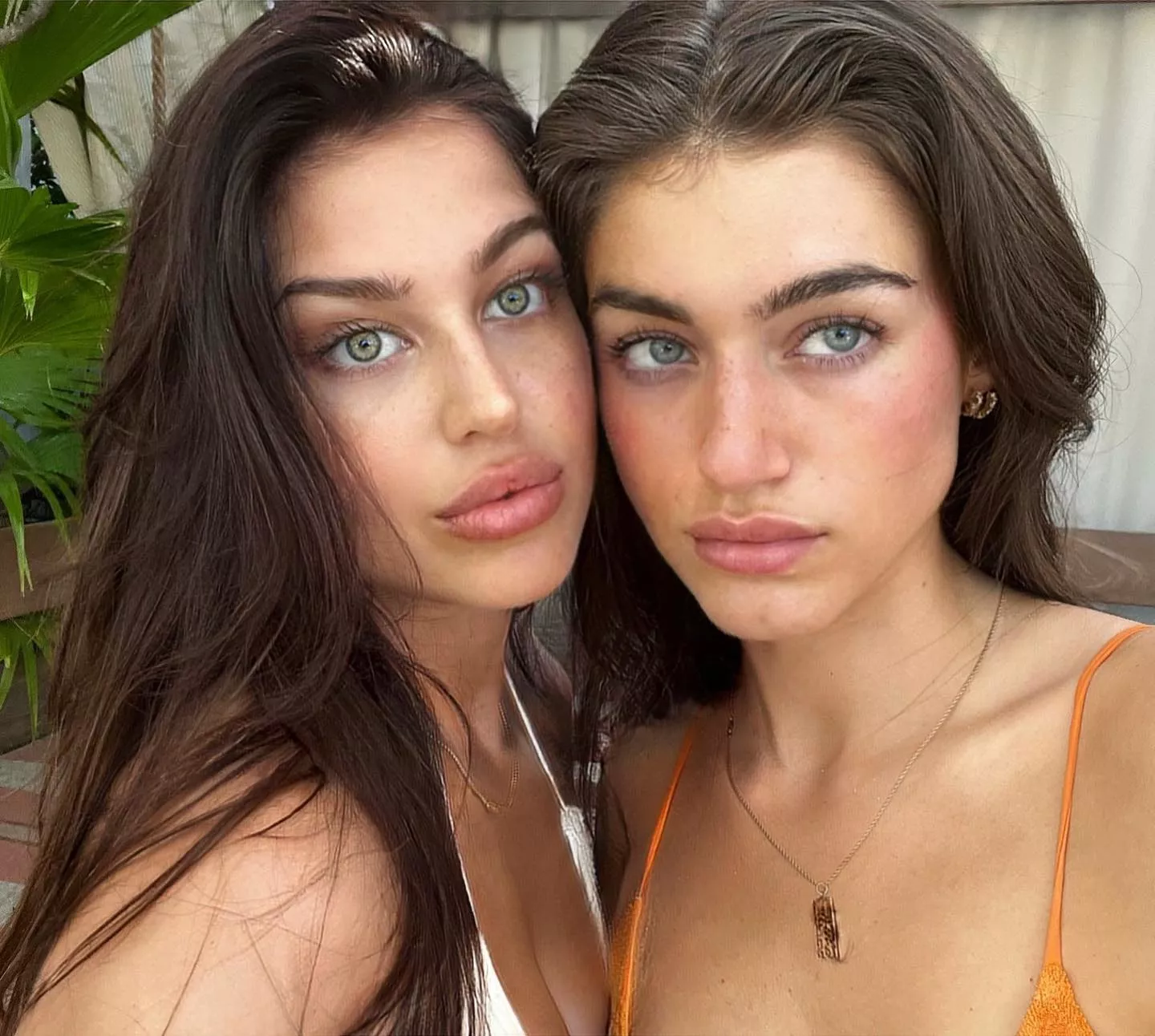 which one?