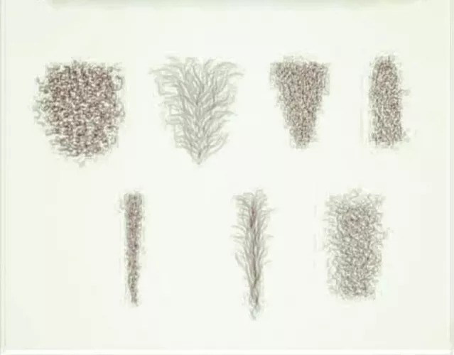 which one you have milfs 🤭🤭😉😉😉🍑