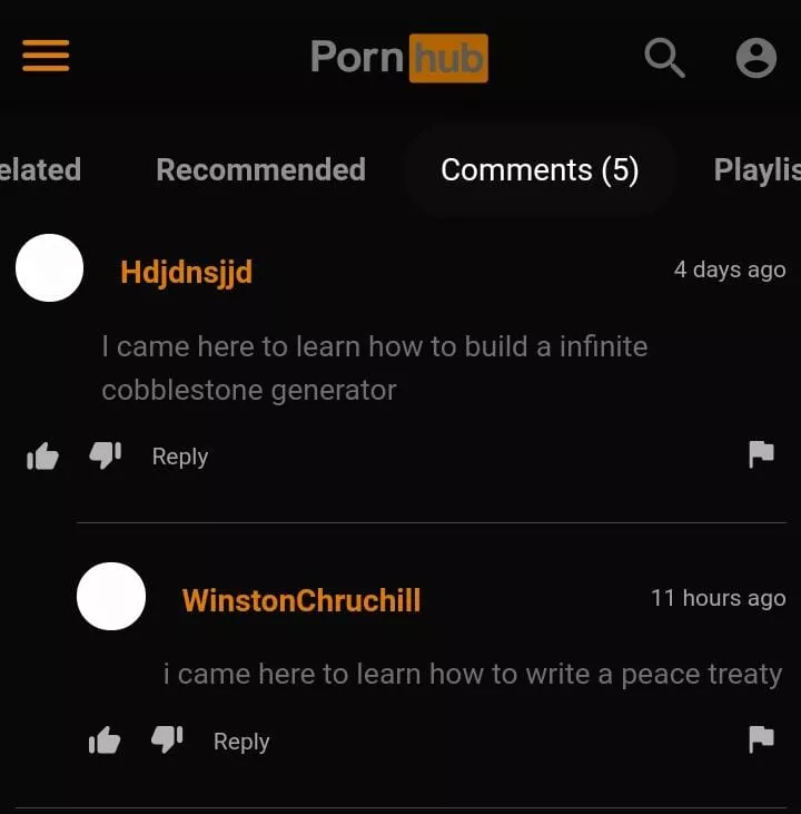 Whiston Churchill caught in 4k
