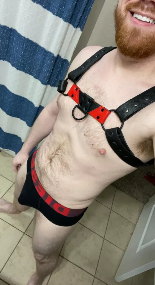 Who else loves a harness? (31)