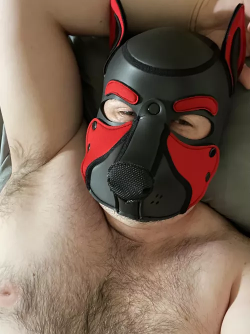 Who wants cuddles? 🐾
