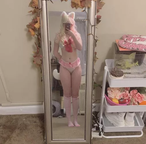 Who wants to give me head pats? 😸