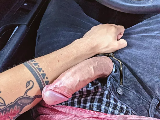 who wants to go for a drive?