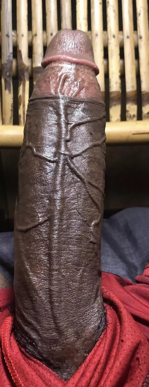 Who wants to ride it