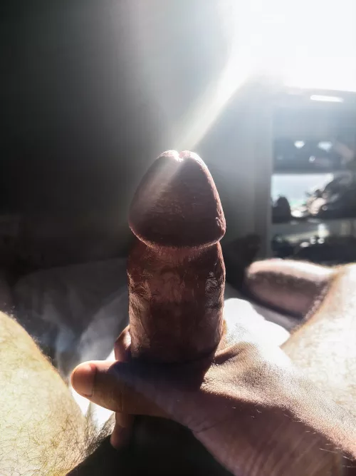 who wants to see my cock right, chat! for free.. 😸🔥