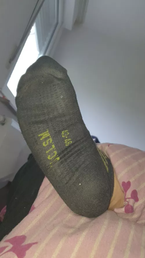 who want's to sniff them? Went on a Festival and These were 24+ hours in my shoes.