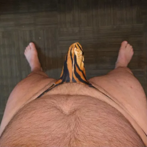 Who wants to tame this tiger? 🐅