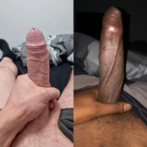 Who you’re choosing? Me vs u/SurroundRoyal4882