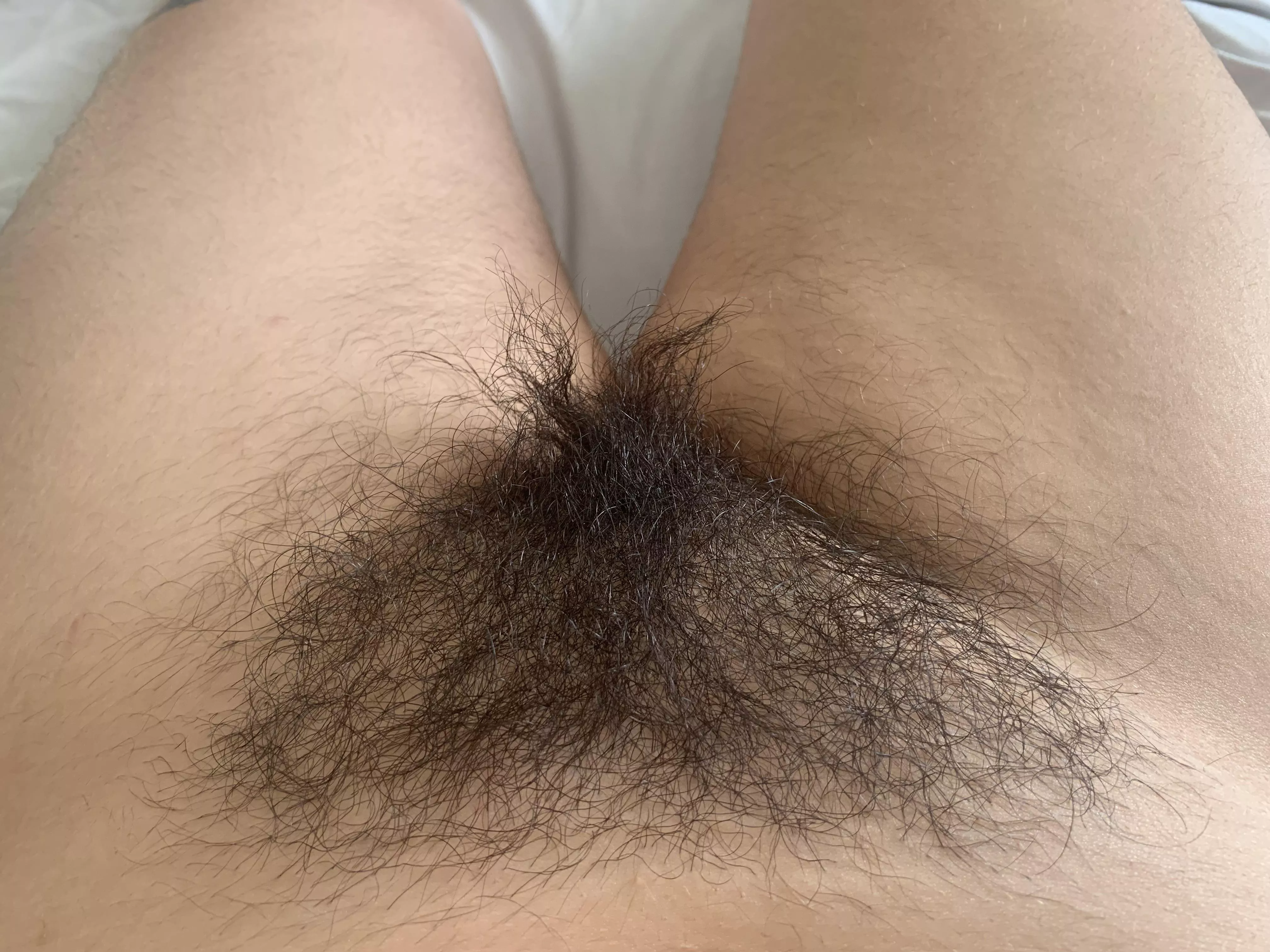 Who’s brave enough to dive into my muff?