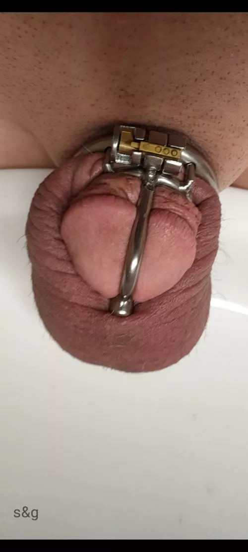 wife put me in the tourture cage before she left for work and said maybe this will motivate you to get your chores done. will see if you've done a good enough job when I get home. I'm getting the vacuum out now.