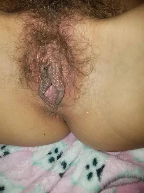 wife's hairy hole