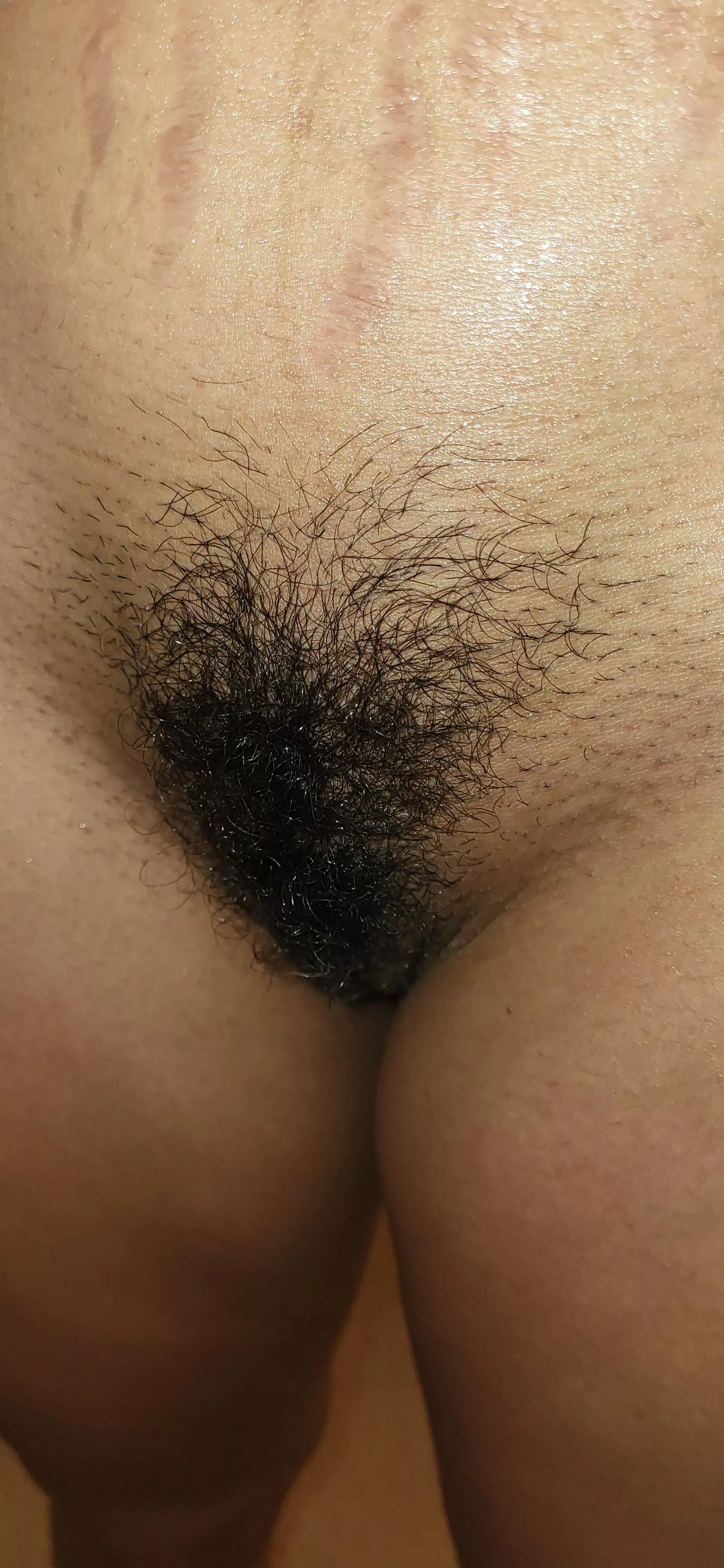 wife's rug
