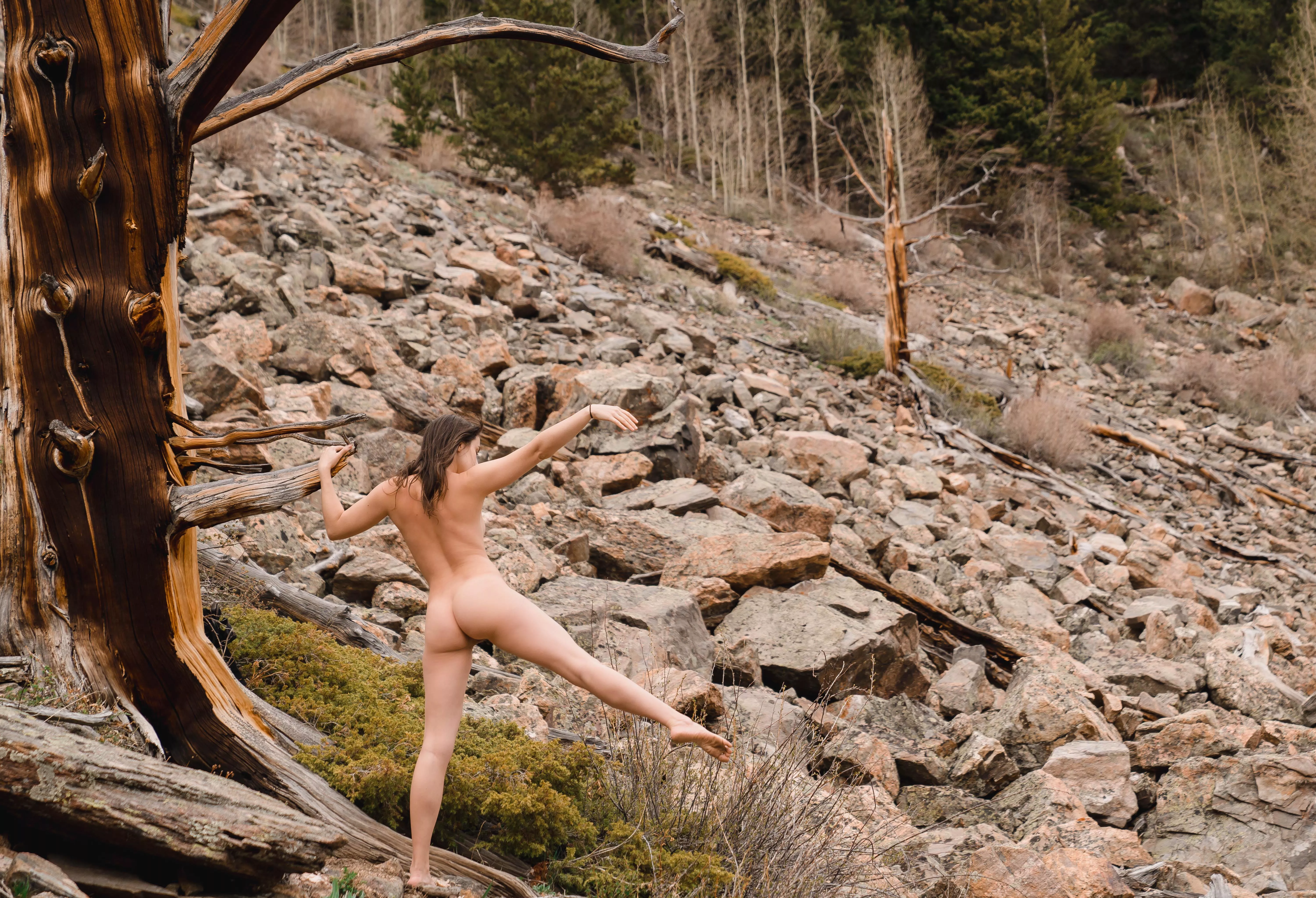 Wild and free