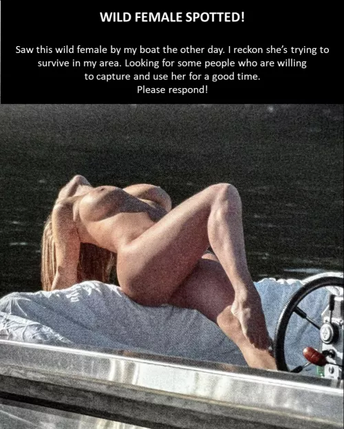 Wild Female Spotted!