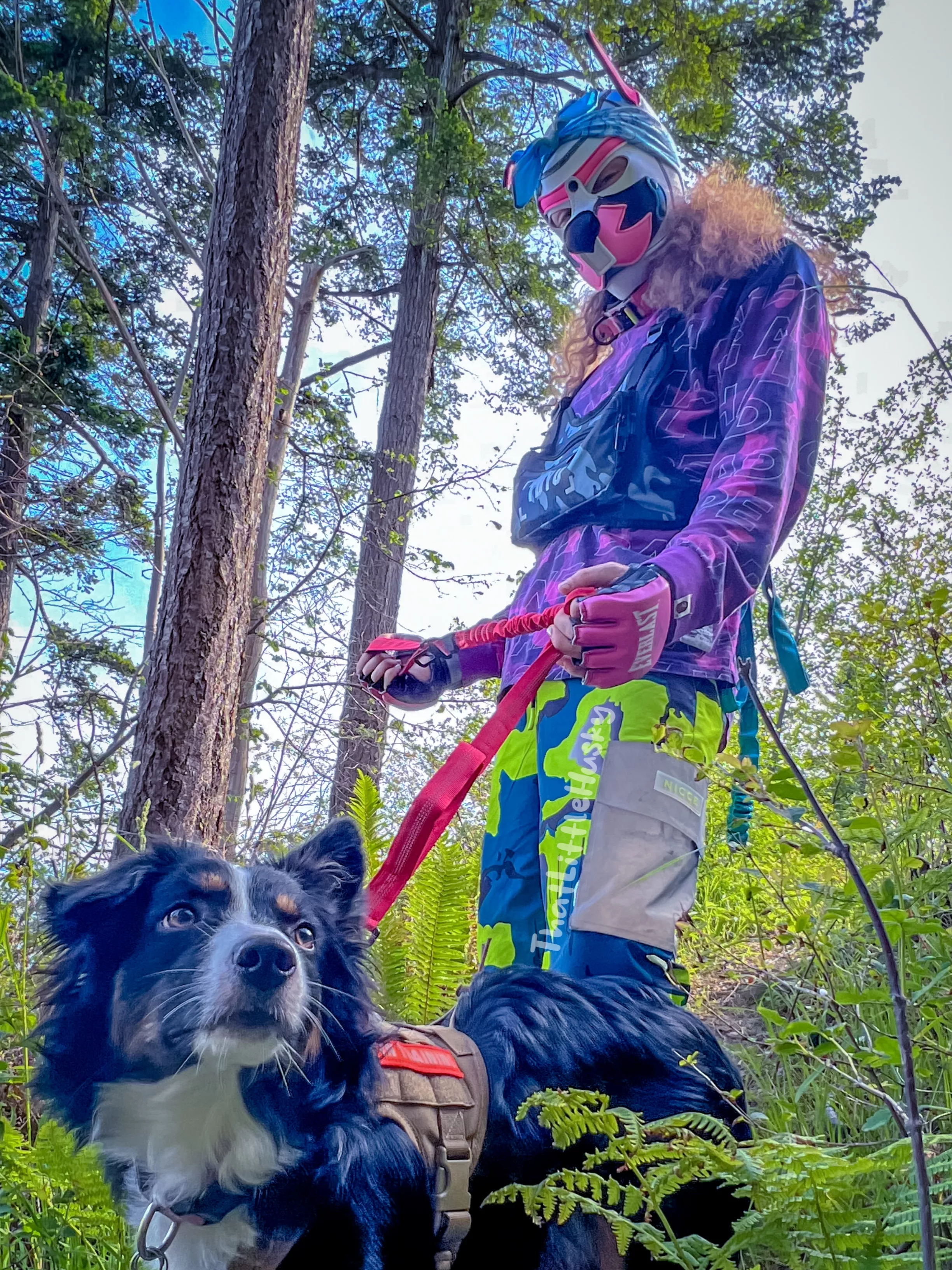Wilderness Walkies~ 🐕‍🦺🐺🏞️