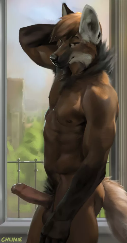 Window show (Chunie)