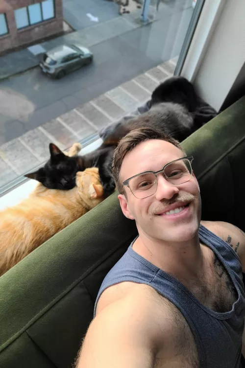 Wishing y'all a happy Caturday 🐈‍⬛🐈