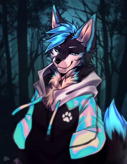 Wolfie In A Hoodie Art By (RobinJinx_) Twitter
