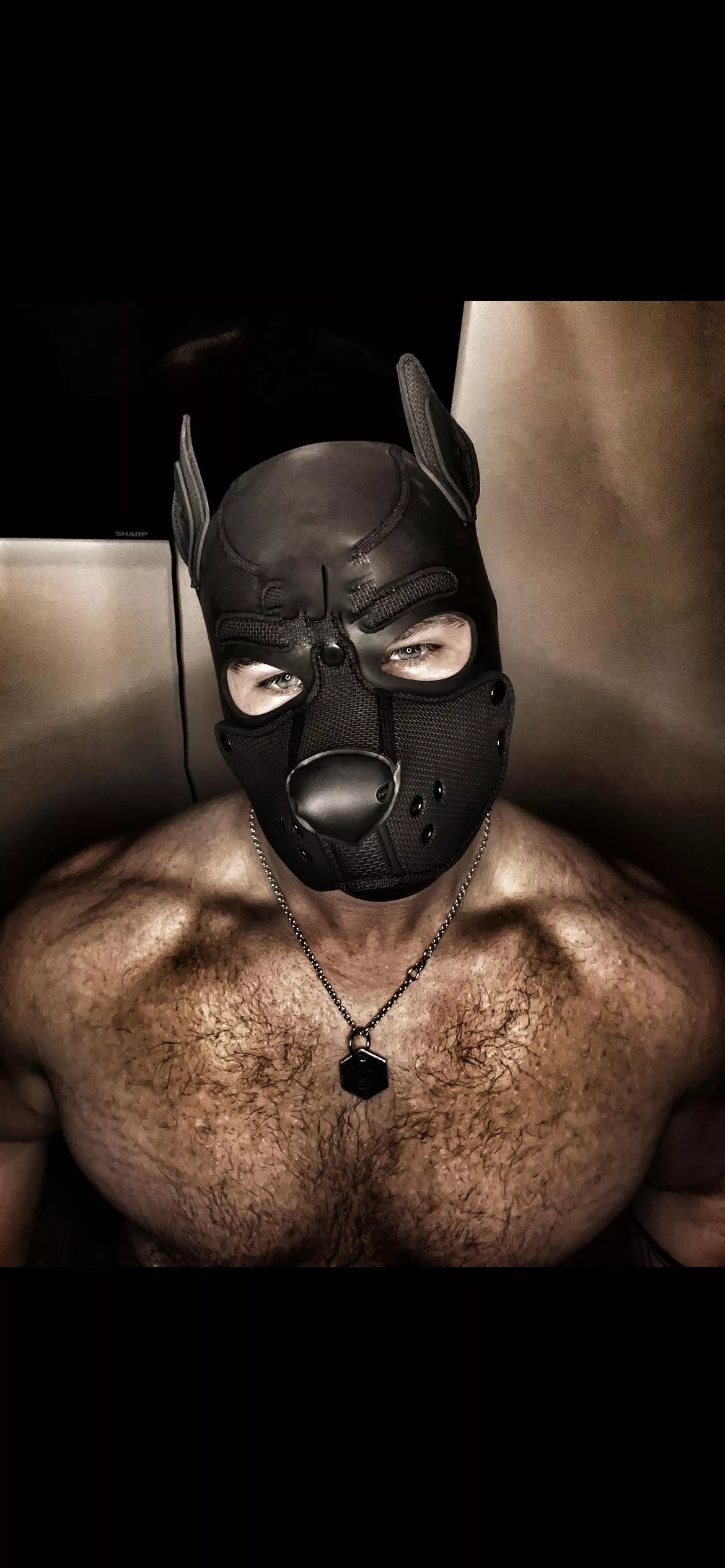 Woof 🐶 🍆