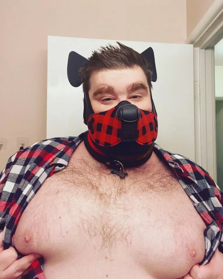 Woof! Happy Friday!