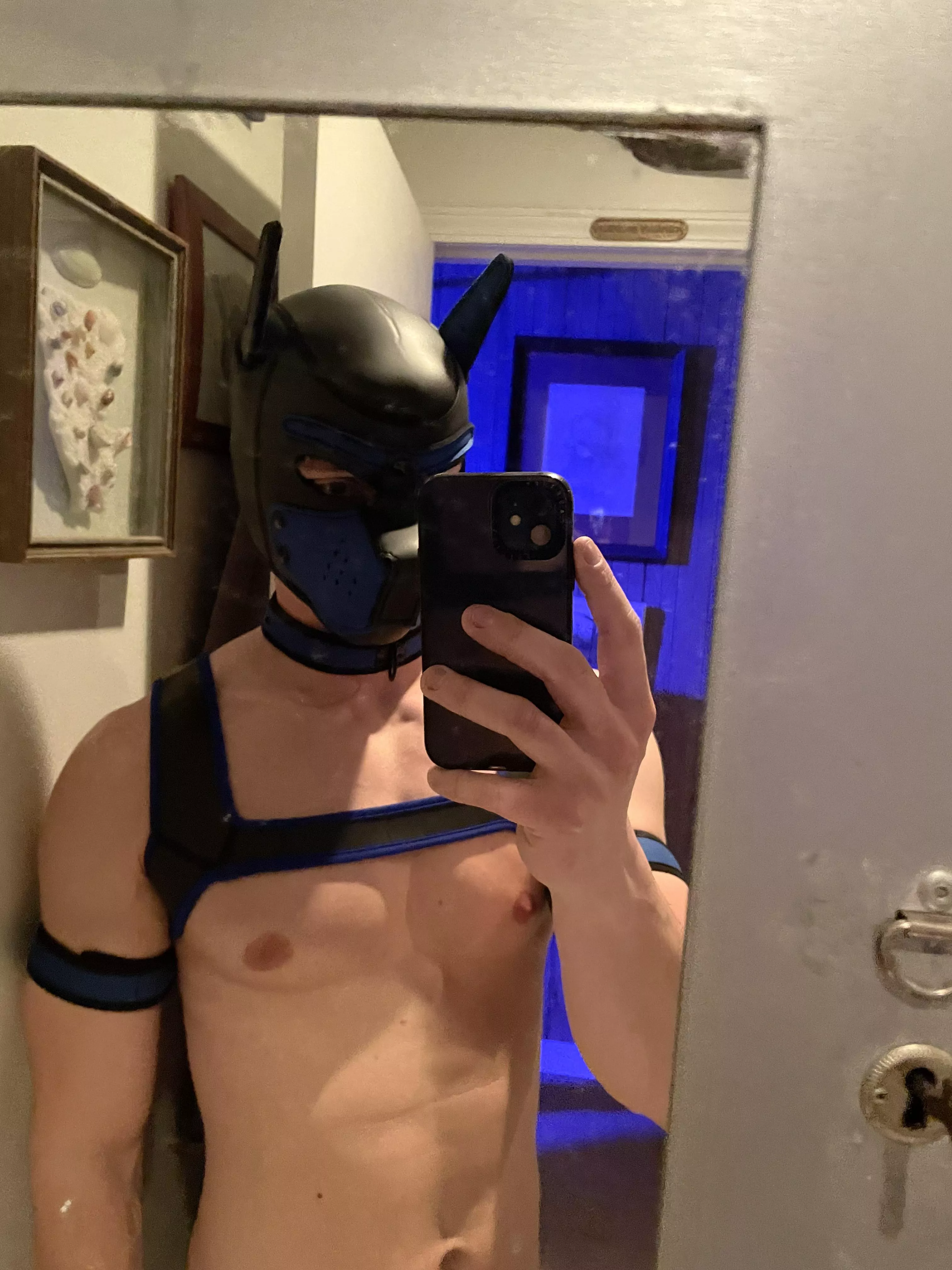 Woof I’m new here