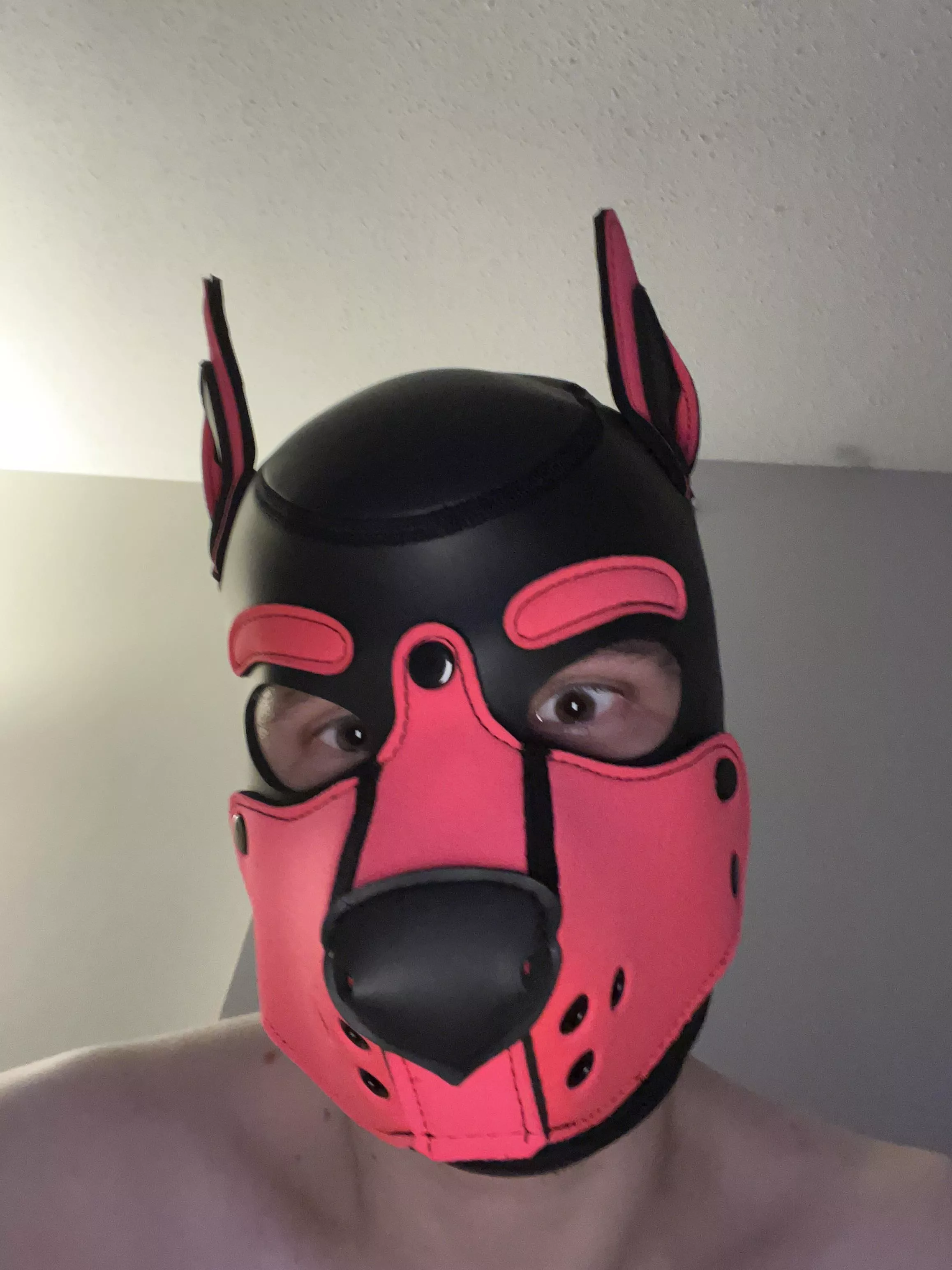 Woof 🐶
