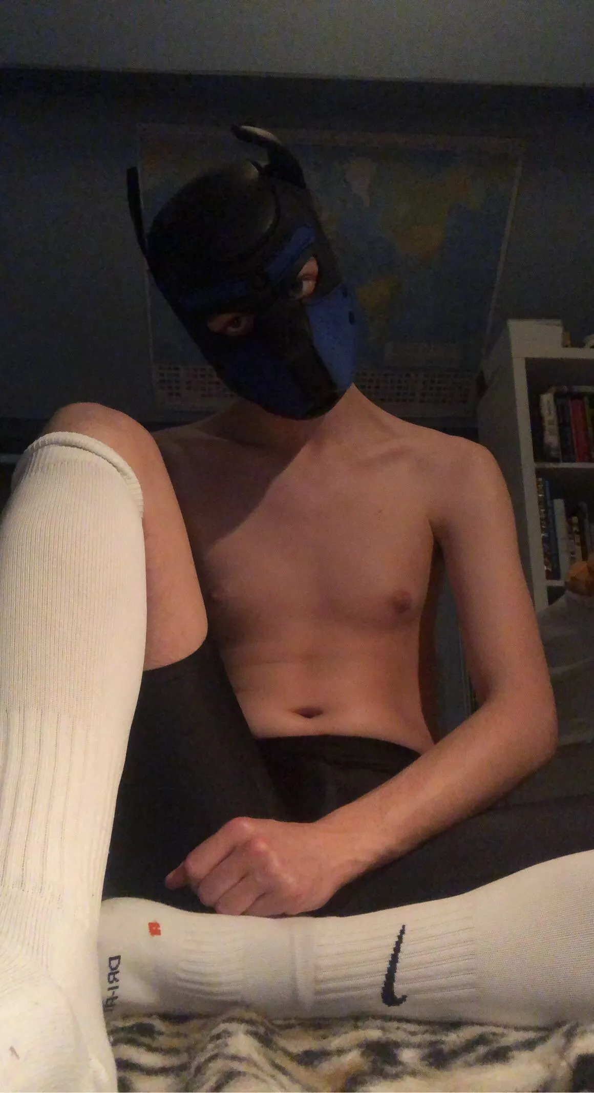 Woooof! Ready for some action!