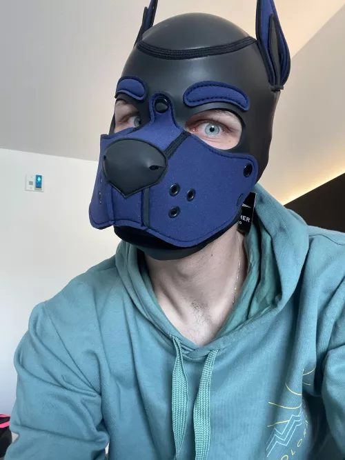 Wruff🐶