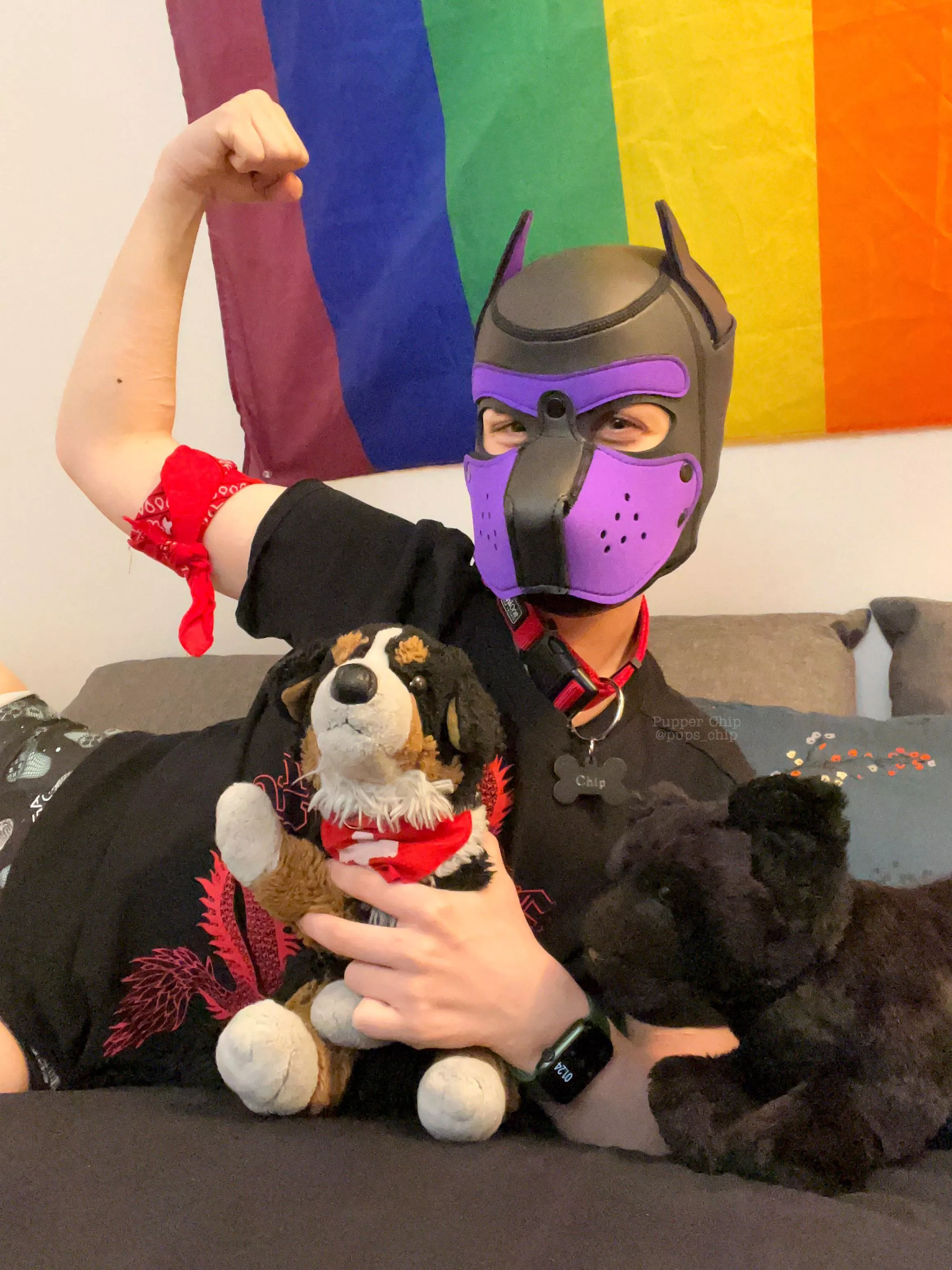 Wruff!! Otis and I just wanted to show our very big muscles πͺπ» and Ninjaβ¦ he is just happy to be here. Wruff!! Otis and I just wanted to show our very big muscles πͺπ» and Ninjaβ¦ he is just happy to be here.