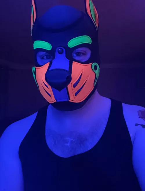 Wruff Wruff Hello Pups 💟🐾