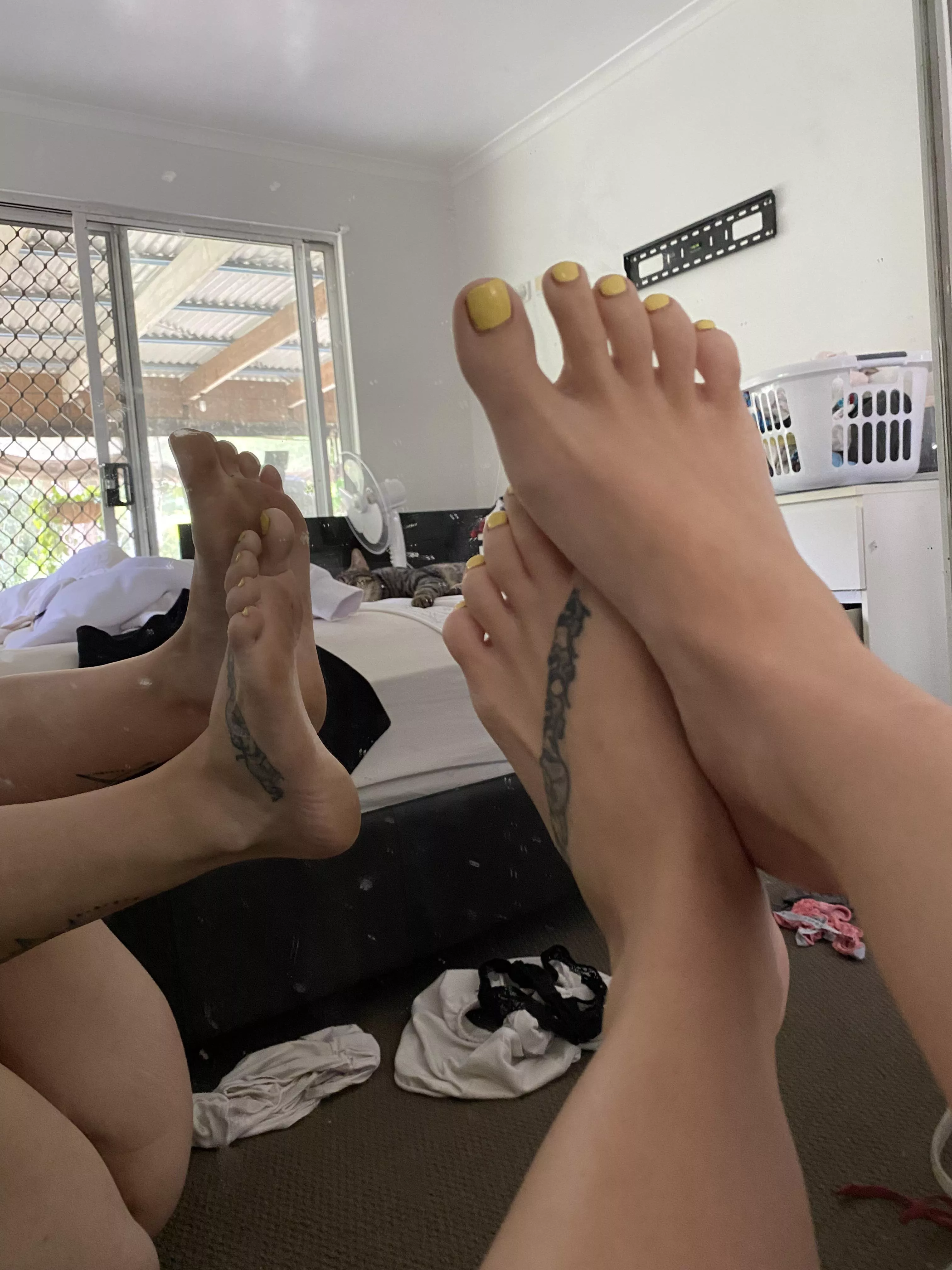 Yellow ❤️