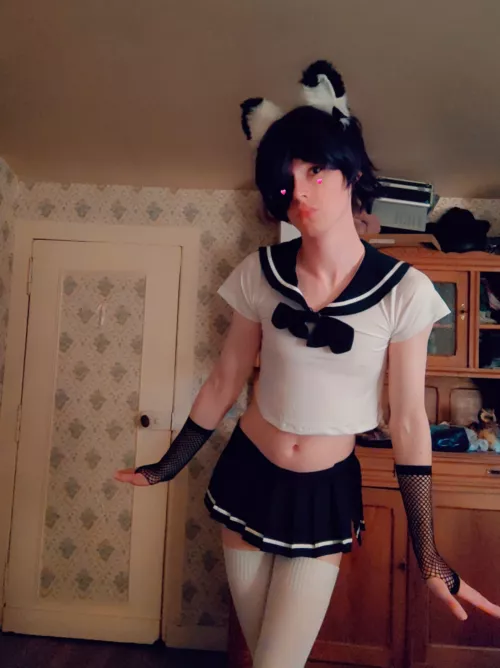 yes i know i am cute, now do my homework, or else >:3