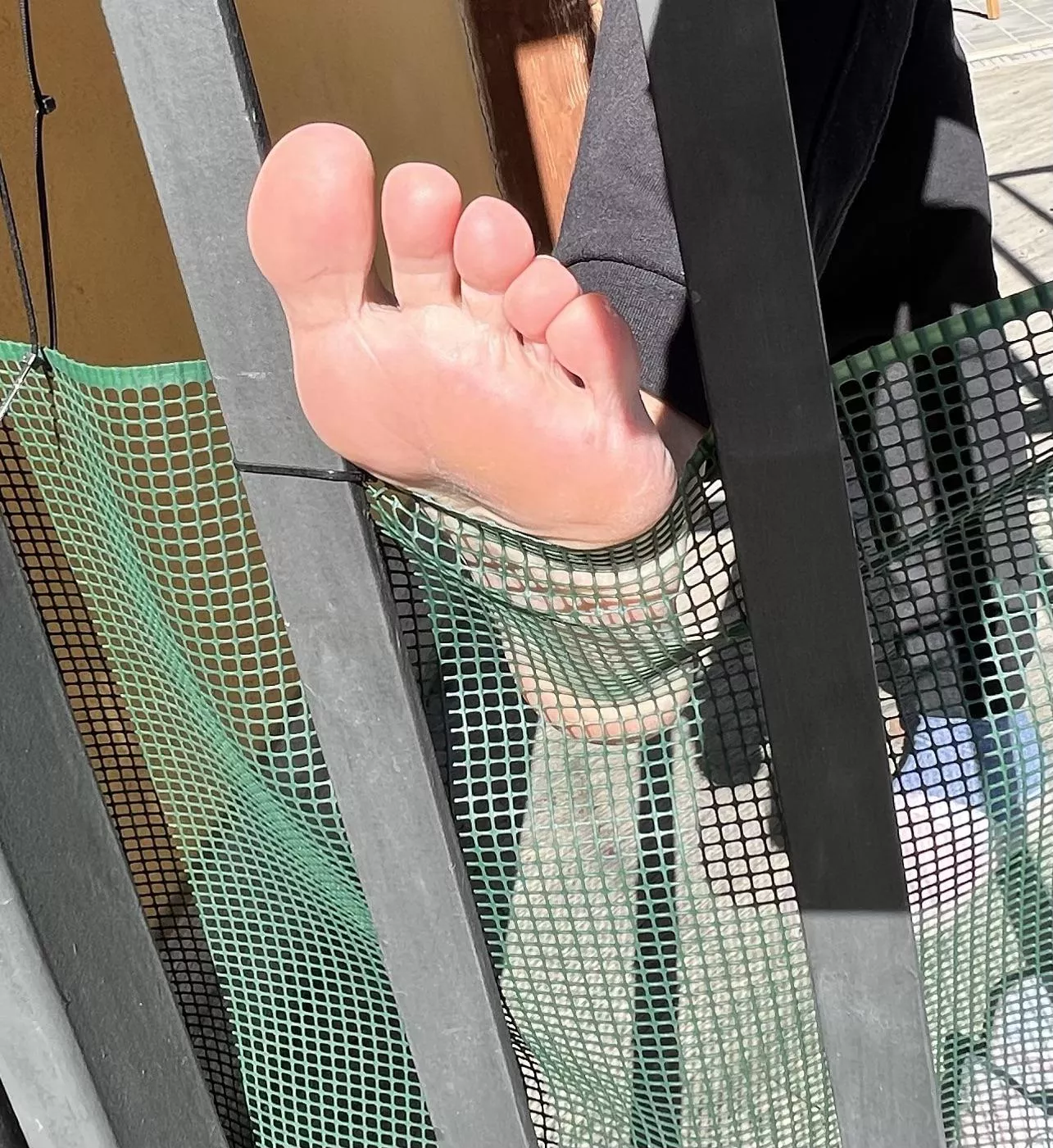 You are my neighbor, I see you passing in from of my gate and I do this to get your attention 🥵