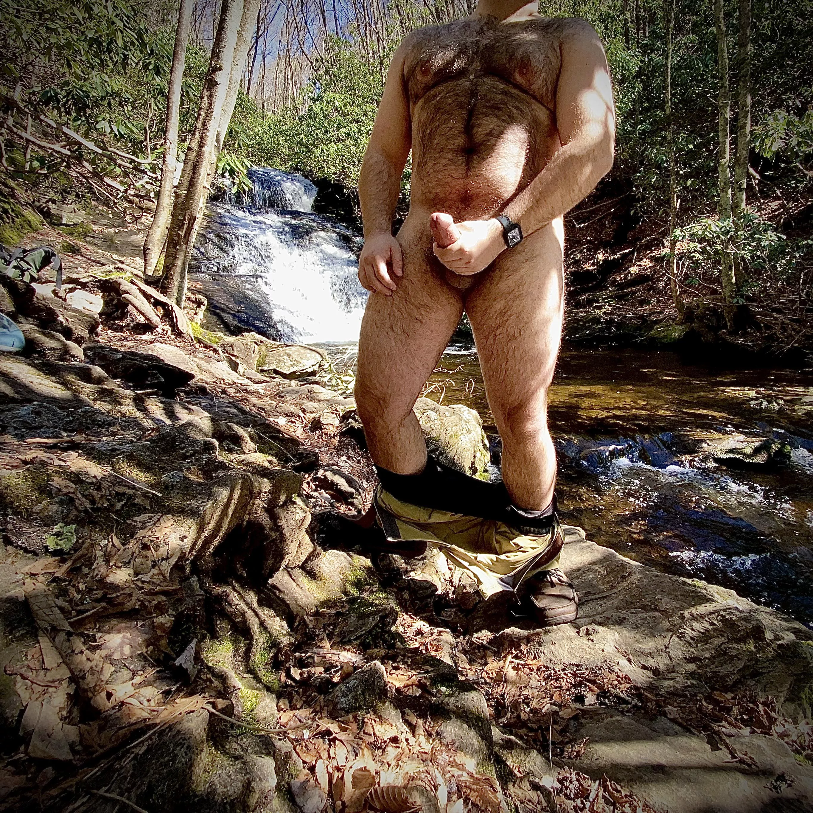 You are out hiking and come across me. What do you do?