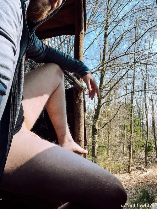 You go for a walk and caught me like this, what would you gonna do?