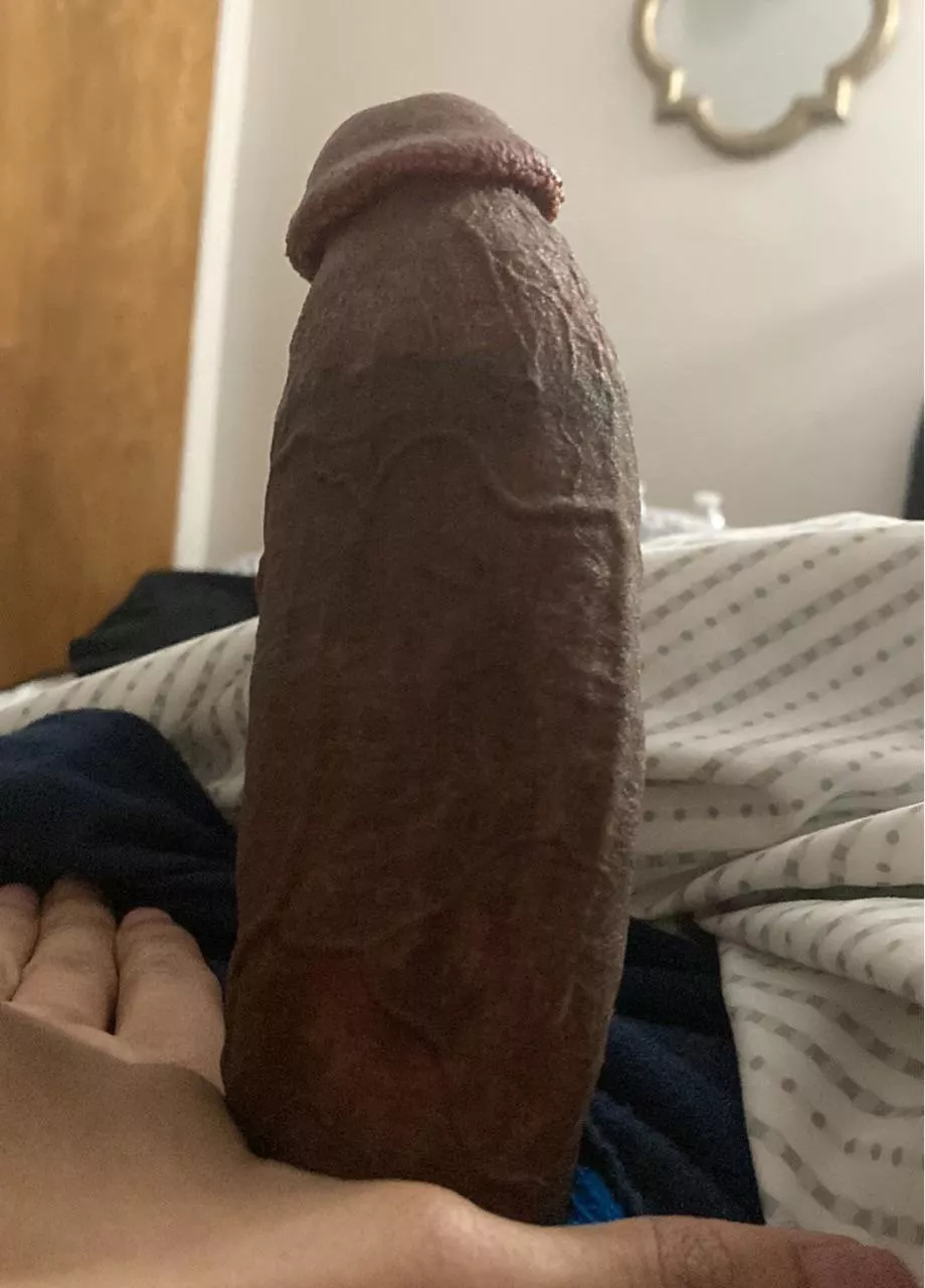 You like my morning wood?