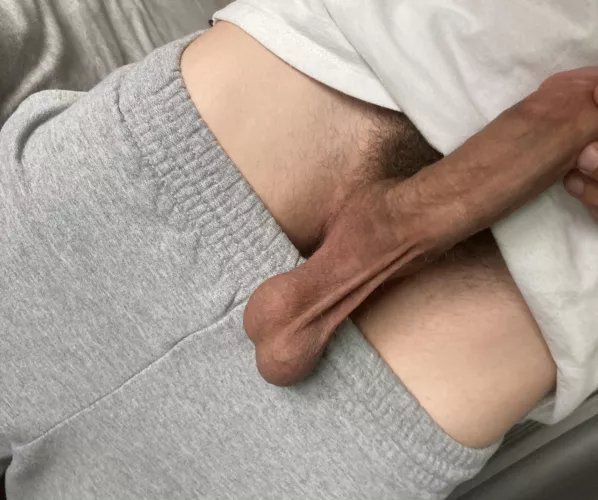 You love these big bull balls