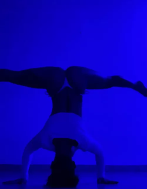 You wanna see this movie?