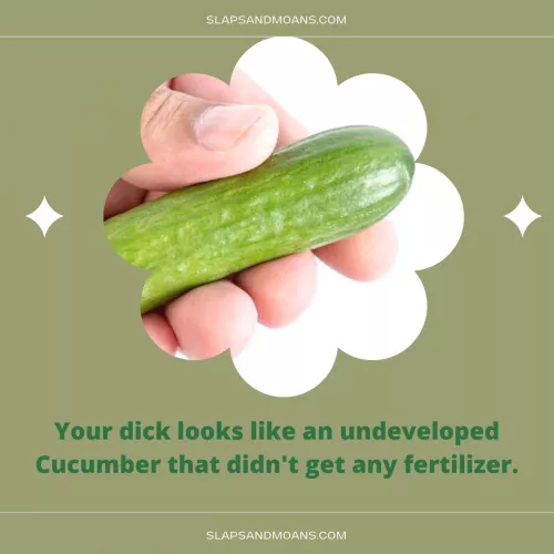 Your baby cucumber dick is pathetic.