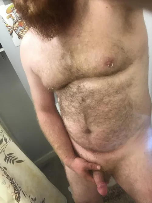 Your daily dose of ginger fur