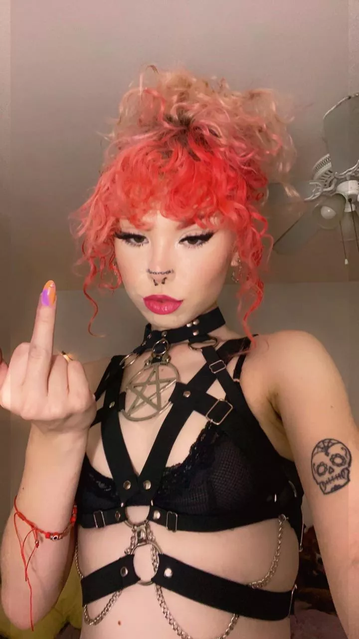 Your Dream Domme 🕷