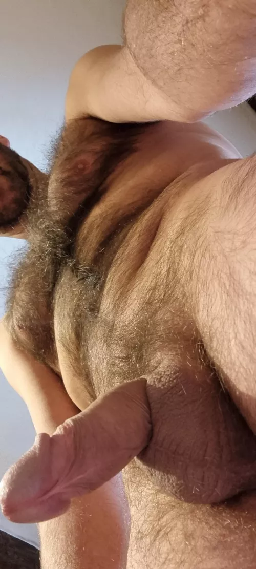 Your Tuesday's hairy POV.