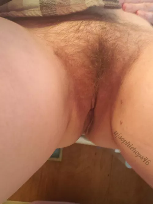 Your view as I'm about to sit on your face, I hope you're ready!