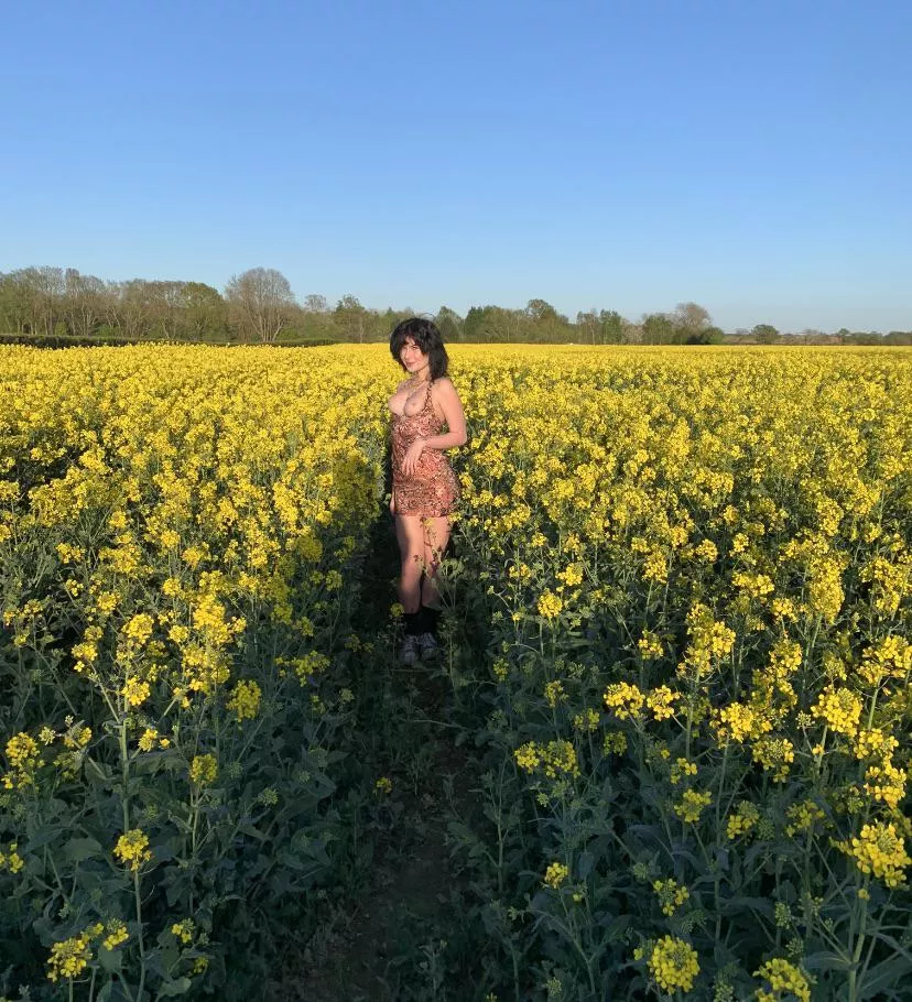 zoom in 🌼x