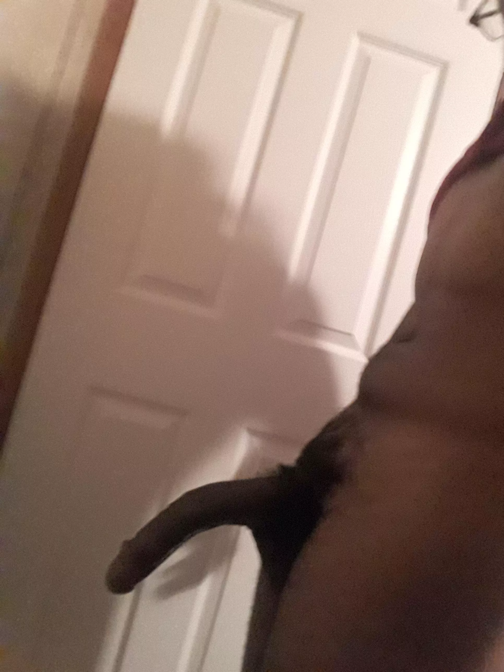 🐎