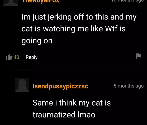 🐱: 😕🤷‍♂️?