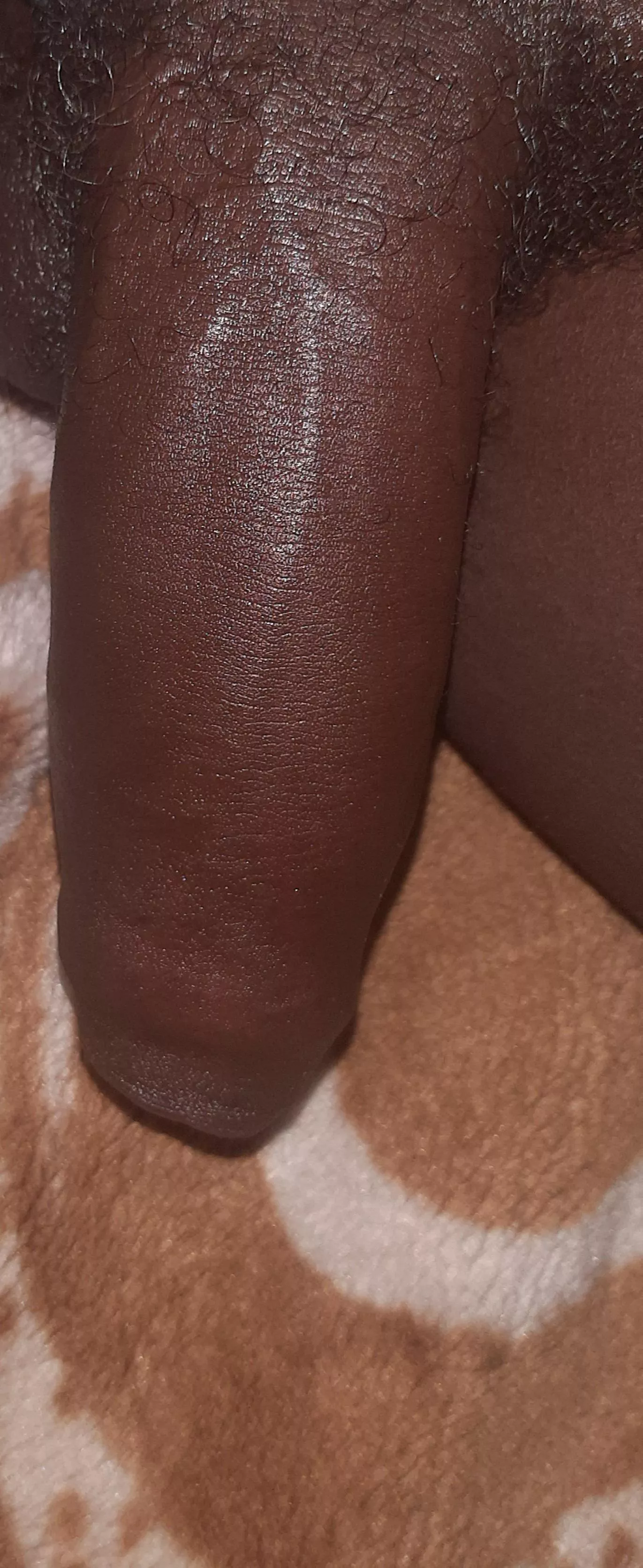 🍆