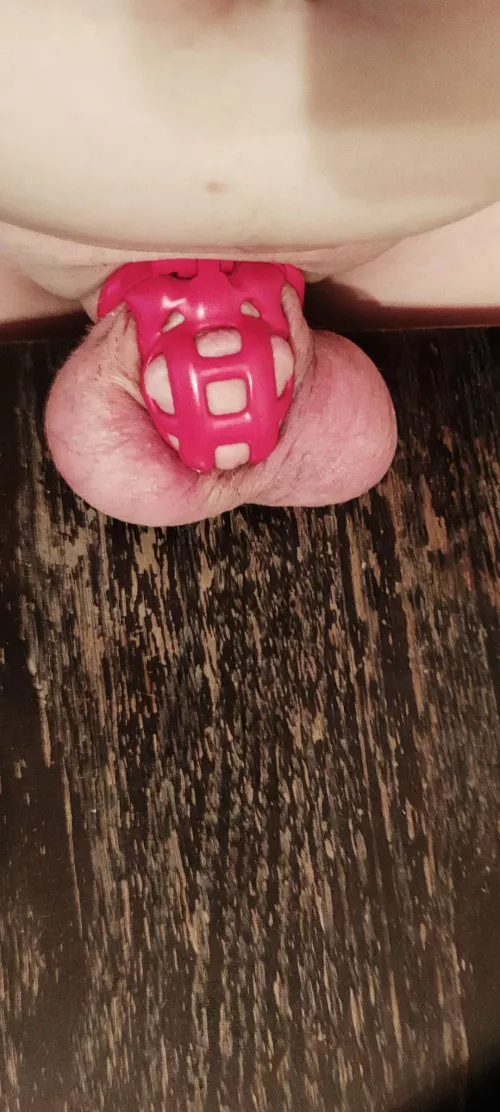 109 days pussy free and orgasm free, my wife said I might get a ruined orgasm at day 150 but no promises.