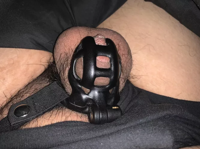 18 y/o day 13 of locktober - I’ve been so much hornier recently especially without cumming at all, but I really don’t want out, I might even go for being locked for the rest of the year… 18 y/o day 13 of locktober - I’ve been so much hornier recently especially without cumming at all, but I really don’t want out, I might even go for being locked for the rest of the year…